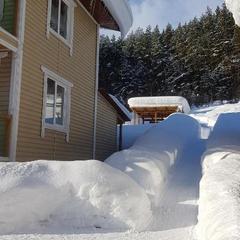 Гостевой дом Усадьба Жар-Птица, Белокуриха, Республика Алтай