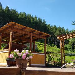 Гостевой дом Усадьба Жар-Птица, Белокуриха, Республика Алтай