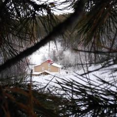 Гостевой дом Усадьба Жар-Птица, Белокуриха, Республика Алтай