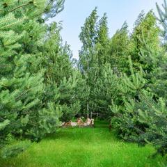 Отель Аристократ, Белоозёрский, Московская область