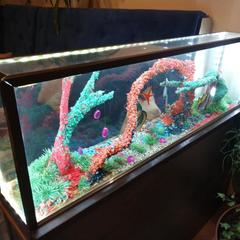 Гостиница Золотой скорпион, Белые Кресты, Вологодская область