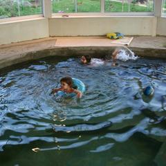 Парк-отель Альфа Парк, Белоусово, Московская область