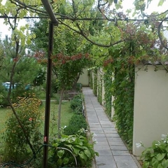 Гостевой дом Ивушка, Береговое, Крым