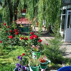 Гостевой дом Ивушка, Береговое, Крым