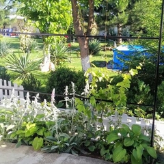 Гостевой дом Ивушка, Береговое, Крым