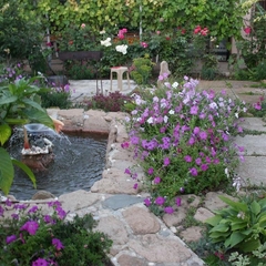 Гостевой дом Лилия, Береговое, Крым