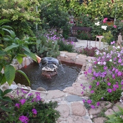 Гостевой дом Лилия, Береговое, Крым