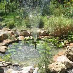 Гостевой дом У Ольги, Береговое, Крым