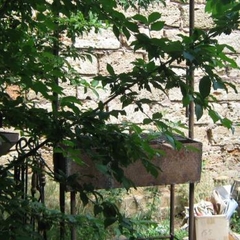 Гостевой дом У Ольги, Береговое, Крым