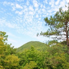 База отдыха Эдем, Бетта, Краснодарский край