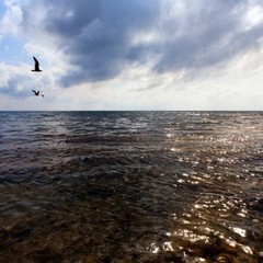 База отдыха Эдем, Бетта, Краснодарский край