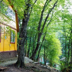 База отдыха Эдем, Бетта, Краснодарский край