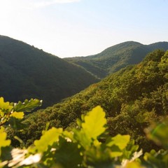 База отдыха Эдем, Бетта, Краснодарский край