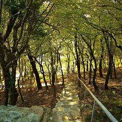 Клуб-отель Апельсин, Бжид, Краснодарский край