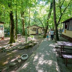 Гостинично-туристический комплекс Виктория, Бжид, Краснодарский край