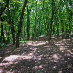 Гостинично-туристический комплекс Виктория, Бжид, Краснодарский край