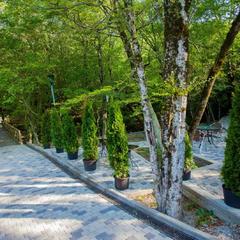 Гостинично-туристический комплекс Виктория, Бжид, Краснодарский край