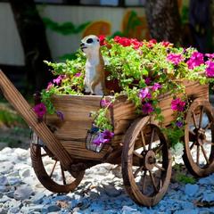 Гостинично-туристический комплекс Виктория, Бжид, Краснодарский край