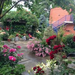 Гостевой дом Мария, Благовещенская, Краснодарский край