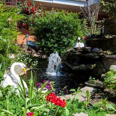 Гостевой дом Мария, Благовещенская, Краснодарский край