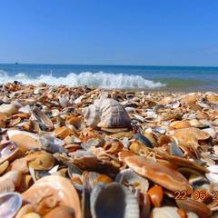 Гостевой дом Мария, Благовещенская, Краснодарский край