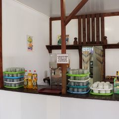 База отдыха Белый берег, Благовещенская, Краснодарский край