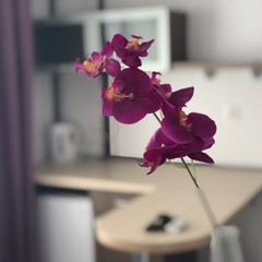 База отдыха Ласковый берег, Благовещенская, Краснодарский край