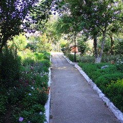 База отдыха Ростовчанка, Благовещенская, Краснодарский край