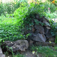 База отдыха Ростовчанка, Благовещенская, Краснодарский край