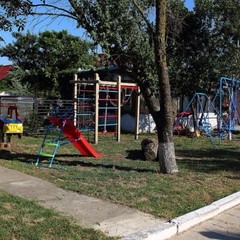 База отдыха Ростовчанка, Благовещенская, Краснодарский край