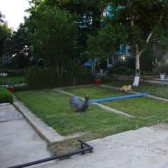 База отдыха Ростовчанка, Благовещенская, Краснодарский край