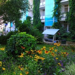 База отдыха Ростовчанка, Благовещенская, Краснодарский край