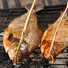 База отдыха Белый берег, Благовещенская, Краснодарский край