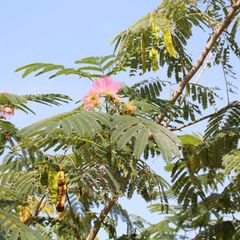 База отдыха Белый берег, Благовещенская, Краснодарский край