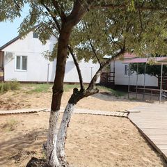 База отдыха Белый берег, Благовещенская, Краснодарский край