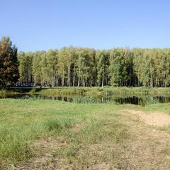 Отель Комплекс Самей, Богородск, Нижегородская область