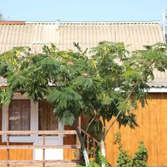 База отдыха Белый берег, Благовещенская, Краснодарский край