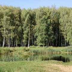 Отель Комплекс Самей, Богородск, Нижегородская область