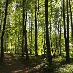 Отель Комплекс Самей, Богородск, Нижегородская область