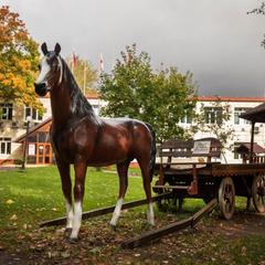 Гостиница Богородская, Богородское, Московская область