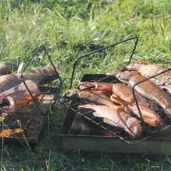 Коттеджный комплекс Точка Отдыха, Андреапольский район, Тверская область