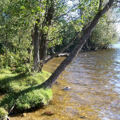 Коттеджный комплекс Точка Отдыха, Андреапольский район, Тверская область