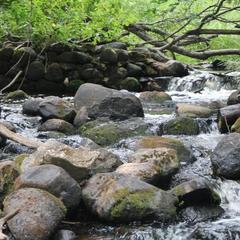 Коттеджный комплекс Точка Отдыха, Андреапольский район, Тверская область