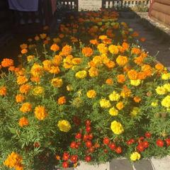 База отдыха Русское Подворье, Большое Голоустное, Иркутская область