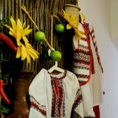 Отель Родина, Богородск, Нижегородская область