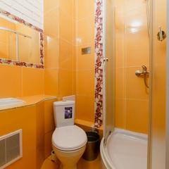 Отель Родина, Богородск, Нижегородская область