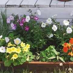 Дом Байкал, Большое Голоустное, Иркутская область