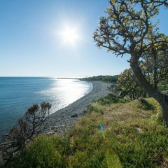 Шале Утриш, Большой Утриш, Краснодарский край
