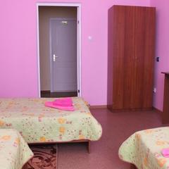 Отель Олимп, Бор, Нижегородская область