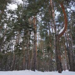 Турбаза Черкасский затон, Борисоглебск, Воронежская область